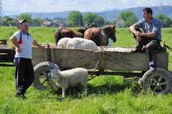 Bauernmarkt in Sighetul