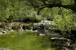 Quelle Crnojevica Rijeka