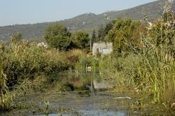 Neretva-Delta