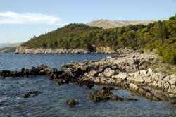 Insel Lokrum