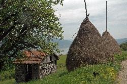 Flora und Fauna im Nationalpark Derdap