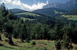 Grenze der Wallachei zu Transsilvanien