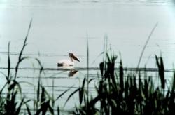Schwarzes Meer: Landzunge La Bisericuta