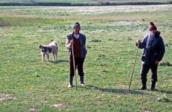 Dobrudscha: SchÃ¤fer