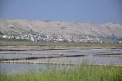 Insel Pag: Ort Pag