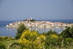 Sibenik: Panorama mit Sv. Ana