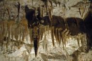 Tropfsteine in der Adelsberger Grotte von Postojna