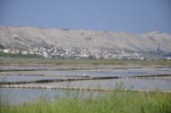 Insel Pag: Ort Pag