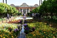Shiraz: Paradiesgarten